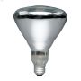 BR40 250W Heat Lamp Clear Incandescent Bulb
