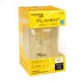 Clear 4.7 Watt E26 Medium G25 LED Bulb