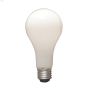 Soft White 100 Watt Medium A21 Incandescent Bulb