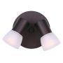 Hudson 2 Light Canopy Fixture