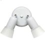 Omni 2 Light Canopy Fixture