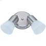 Omni 2 Light Canopy Fixture