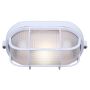 (1) Lamp A 60 Watt Outdoor Marine Light