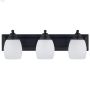 Griffin 3 Light Vanity Fixture