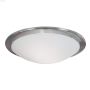 Planet 2 Light E26 A19 60 Watt Matte Nickel Luminaire