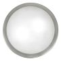 Planet 2 Light E26 A19 60 Watt Luminaire