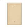 Polycarbonate Blank Wallplate