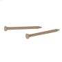 1-5\/8\" Panel Nail 6 oz-6\/Pack