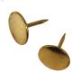 Brass Plated Thumb Tack -40\/Pack