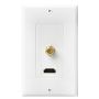 HDMI Female Connector Wall Plate