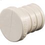 3\/4\" Plastic PEX Plug