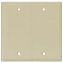 Thermoset 2 Gang Blank Wall Plate