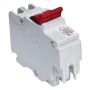 2 Pole Plug-On Circuit Breaker