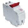 2 Pole Plug-On Circuit Breaker