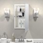 26" x 16" Medicine Cabinet