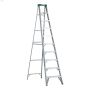 10' Silver Aluminum Type 2 Step Ladder