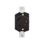 Locking Receptacle 30A 125V 2P\/3W