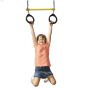 115 lb Blue (Chain) Ring & Trapeze Combo Swing