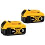 20V 5 A/hr Premium XR Battery-2/Pack