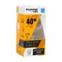 4 Watt 2700K 350 Lumens Dimmable G16FIL LED Light Bulb