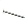 4\" Common Galvanized Nail