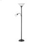 Mother-Daughte Floor Torchiere Lamp