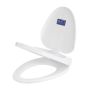 Family Toilet Seat