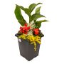 Tall Sloan Planter
