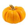 Mini Pumpkin
