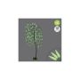 59" Lit LED Willow Tree