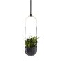 Bolo Planter