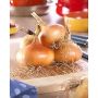 Stuttgarter Onions