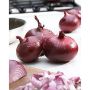 Karmen Red Onions
