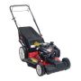Troy-Bilt 159cc Self-Propelled Mower