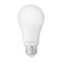 LED 15 Watt A19 5000K Bulb