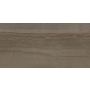 12" x 24" Earth Amelia Porcelain Tile 16 Sq-Ft/Box