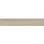 4" x 24" Aspen Paper Birch High Definition Porcelain Tile