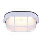 LED Oval Light, White with Frosted Glass