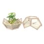 Neoponset Globe Wooden Terrarium 18 x 15"