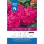 2G Endless Summer Hydrangea
