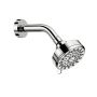 Ignite Chrome Handshower