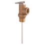 Temperature Pressure Relief Valve