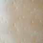 1/4 x 4 x 8 White Birch Plywood Prefinished On One Side