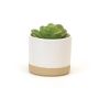 4.25" White and Natural Cylinder Pot