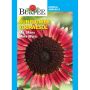 Assorted Flower Seeds