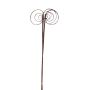 Cane Circle Stem