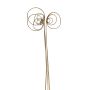 Cane Circle Stem