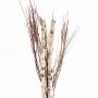 Brich Bouquet Stem