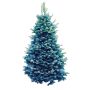 Baby Blue Spruce 5G