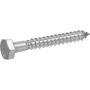 3/8" Stainless Steel Hex Lag Screw